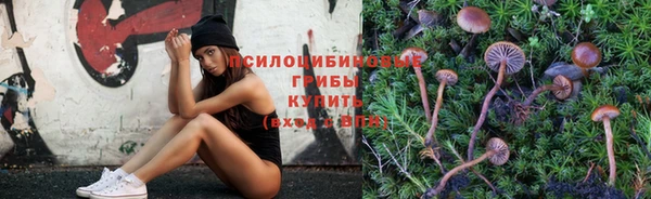 не бодяженный Волоколамск