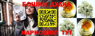 индика Изобильный