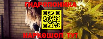 индика Изобильный