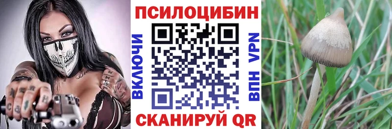 mega вход  где купить наркоту  Осинники  Псилоцибиновые грибы мицелий 