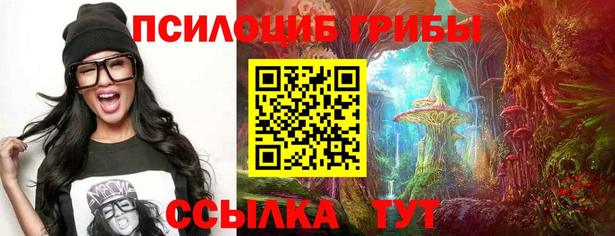 Галлюциногенные грибы Psilocybe  Вход с VPN  Осинники 